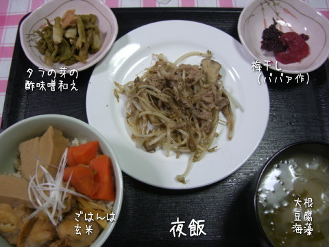 20080223_3.jpg